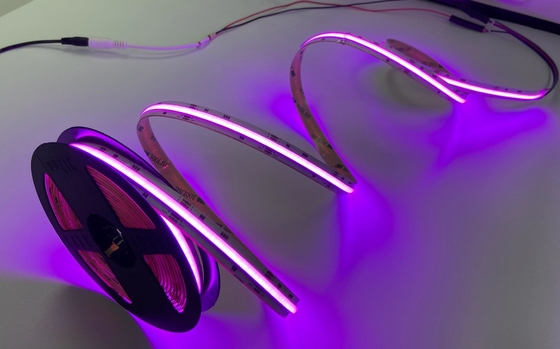Гибкий трубопровод 12VDC Rgb привел ширину прокладок IP20 12mm для крытого ресторана